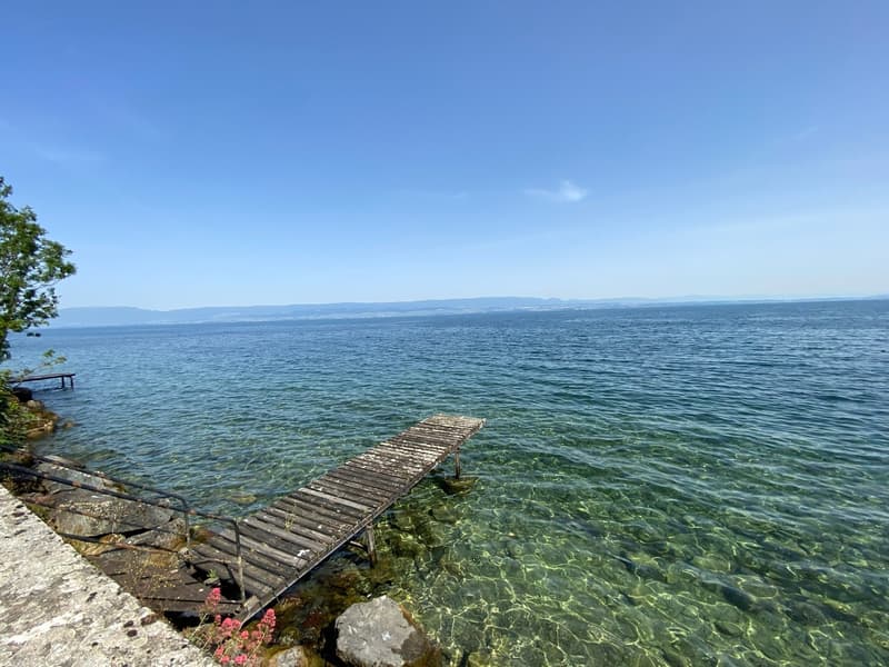 Terrain et projet de Villa d'exception pieds dans l'eau (6)