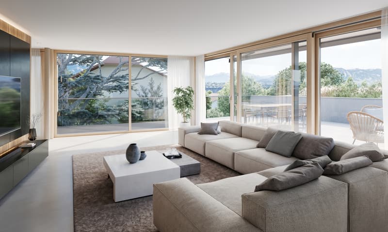 Superbe villa moderne sur plan proche du lac à Tannay (4)