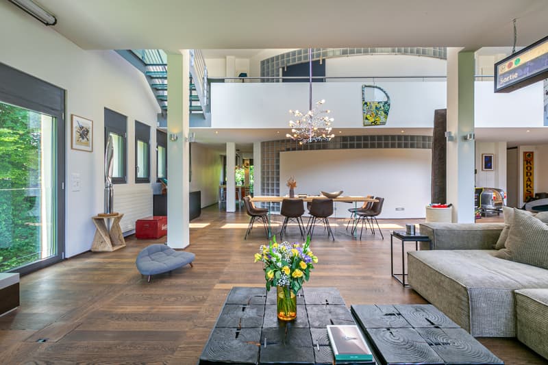 Superbe loft duplex de 338 m², terrasse, parc 3ha, proche de Carouge (6)