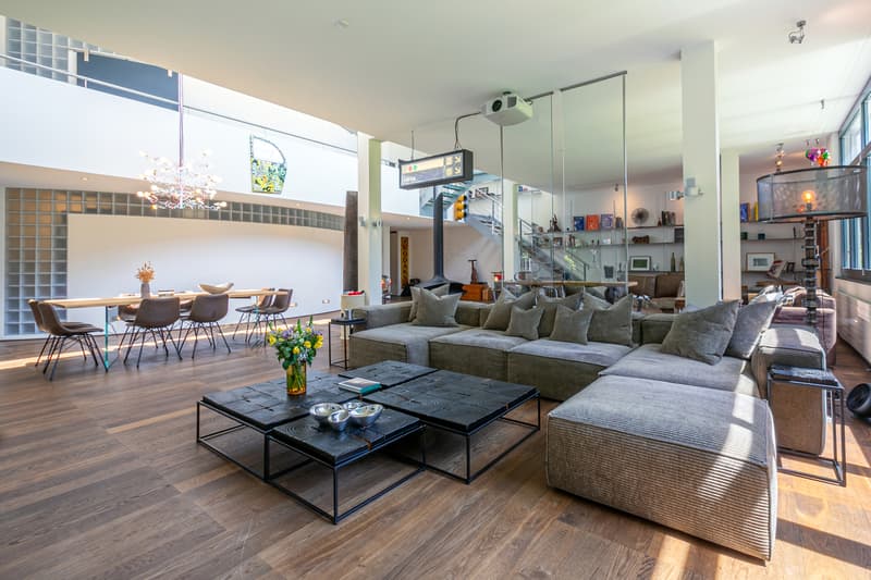 Superbe loft duplex de 338 m², terrasse, parc 3ha, proche de Carouge (3)