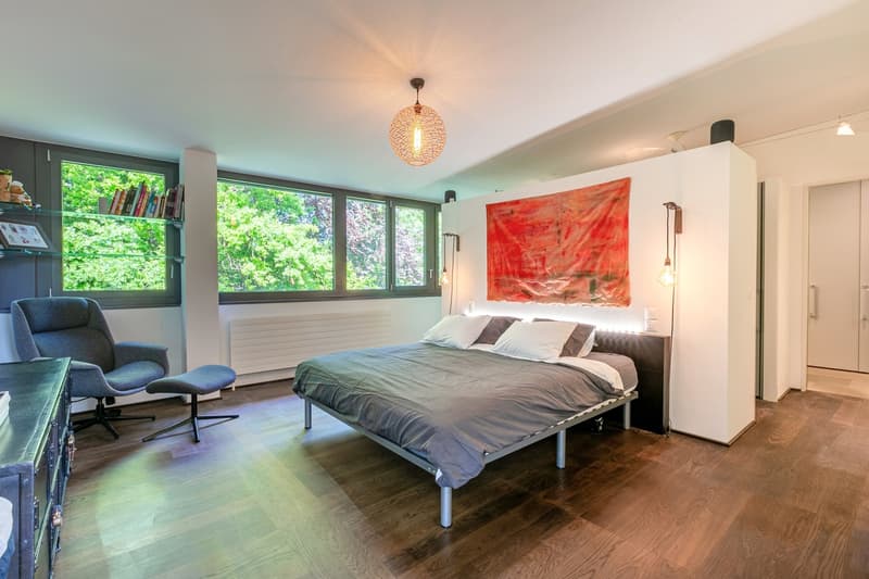 Superbe loft duplex de 338 m², terrasse, parc 3ha, proche de Carouge (8)
