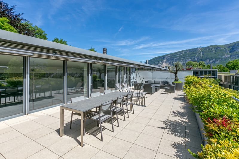 Superbe loft duplex de 338 m², terrasse, parc 3ha, proche de Carouge (12)