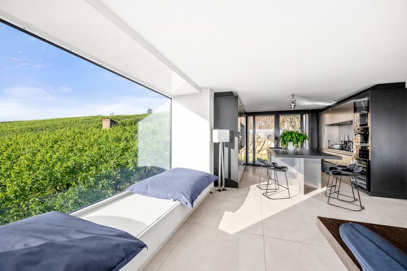 Belle villa d'architecte avec vue lac proche de Morges (4)