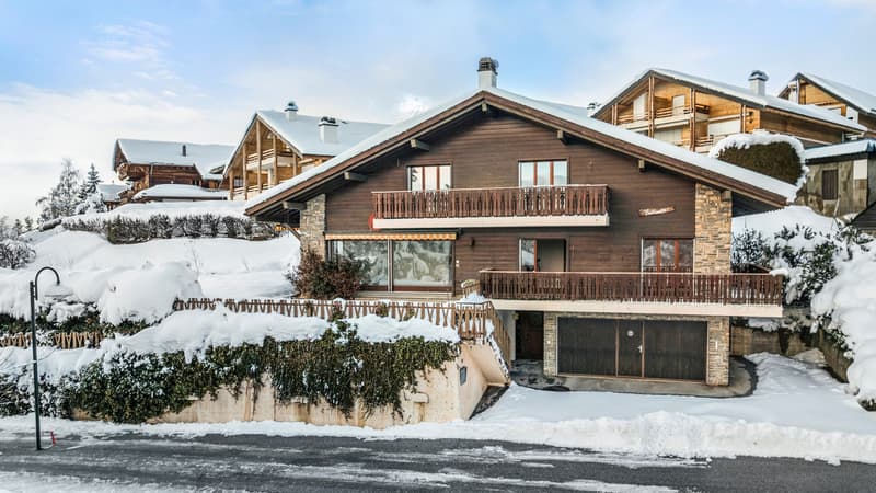 Chalet avec vue sur les Alpes et potentiel exceptionnel (1)