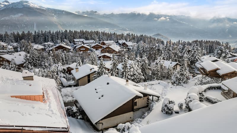 Chalet avec vue sur les Alpes et potentiel exceptionnel (2)