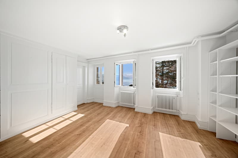 Bâtisse exceptionnelle avec 3 appartements et vue panoramique, Lavaux (6)