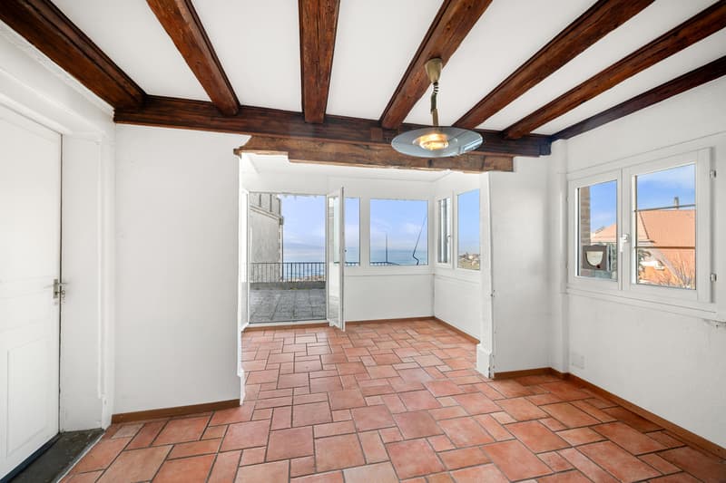Bâtisse exceptionnelle avec 3 appartements et vue panoramique, Lavaux (8)