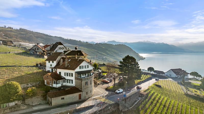Bâtisse exceptionnelle avec 3 appartements et vue panoramique, Lavaux (3)