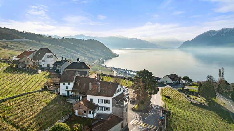 Bâtisse exceptionnelle avec 3 appartements et vue panoramique, Lavaux (1)