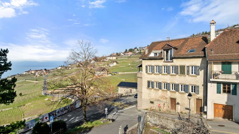 Bâtisse exceptionnelle avec 3 appartements et vue panoramique, Lavaux (2)