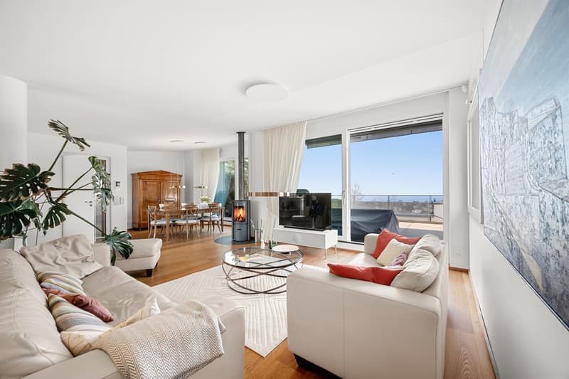 Magnifique duplex et attique moderne avec vue lac à Lausanne (3)