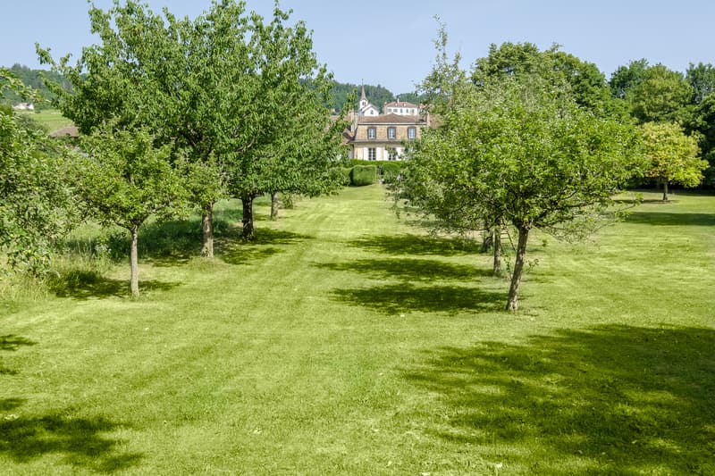 Château du XVIII, parc de 15'000 m2, Entre Lausanne et Genève (7)