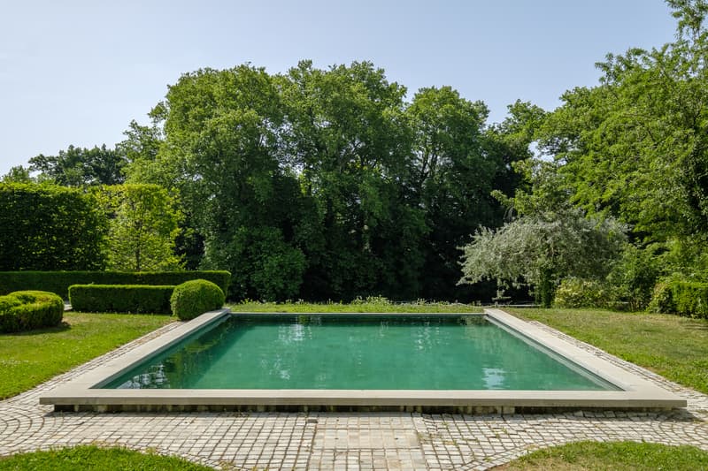 Château du XVIII, parc de 15'000 m2, Entre Lausanne et Genève (9)