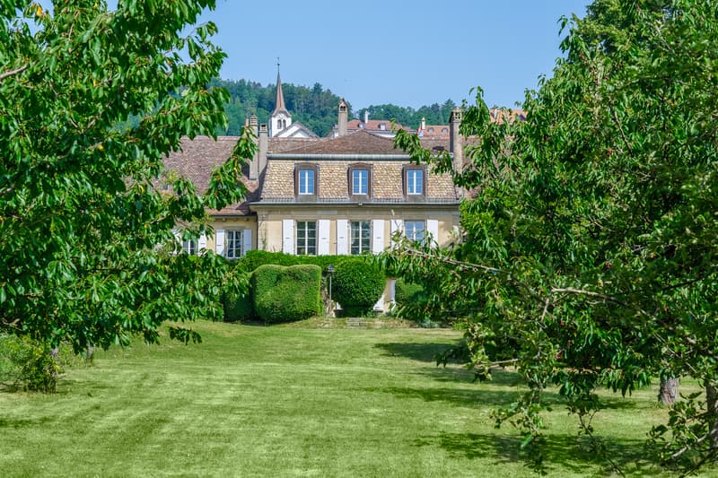 Château du XVIII, parc de 15'000 m2, Entre Lausanne et Genève (3)