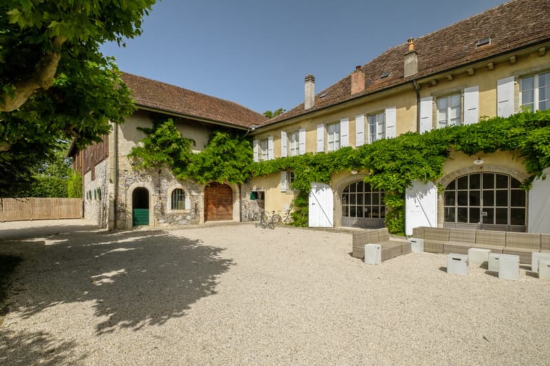 Château du XVIII, parc de 15'000 m2, Entre Lausanne et Genève (10)