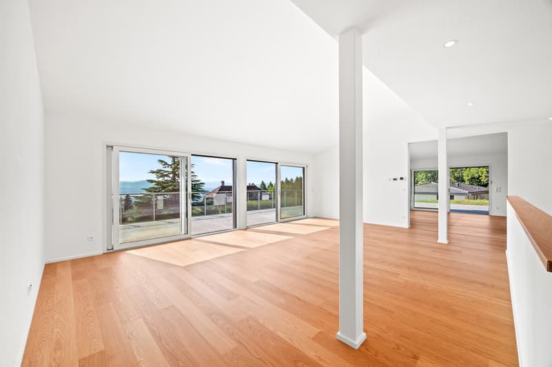 Villa contemporaine clé en main, avec vue 180 - Arzier-le-Muids (11)