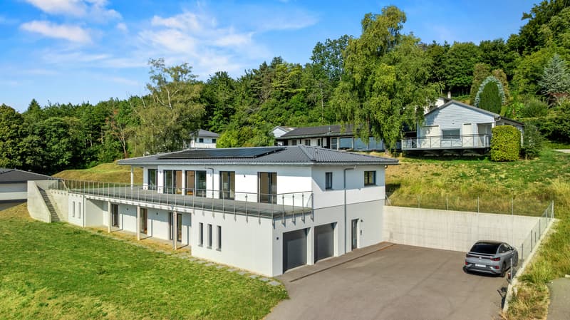 Villa contemporaine clé en main, avec vue 180 - Arzier-le-Muids (3)