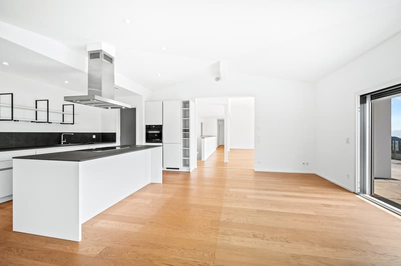 Villa contemporaine clé en main, avec vue 180 - Arzier-le-Muids (7)