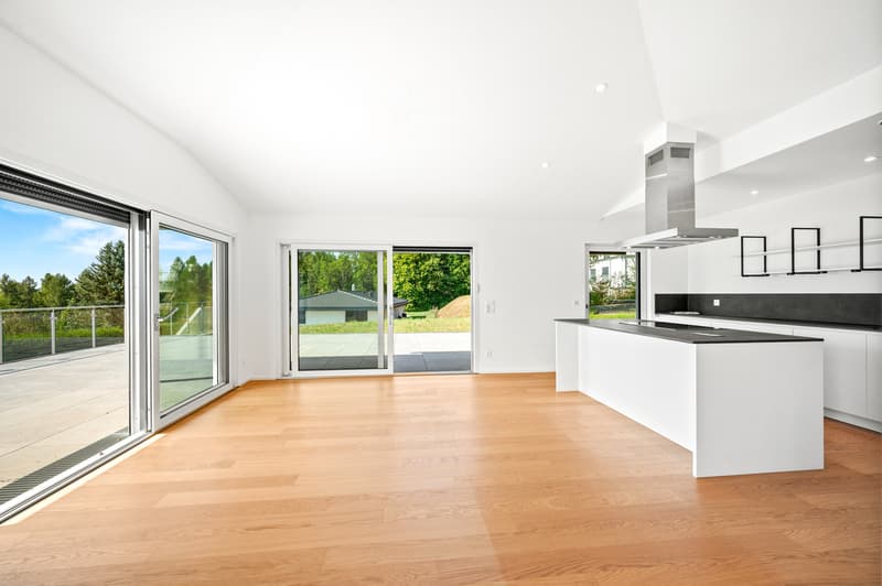 Villa contemporaine clé en main, avec vue 180 - Arzier-le-Muids (6)