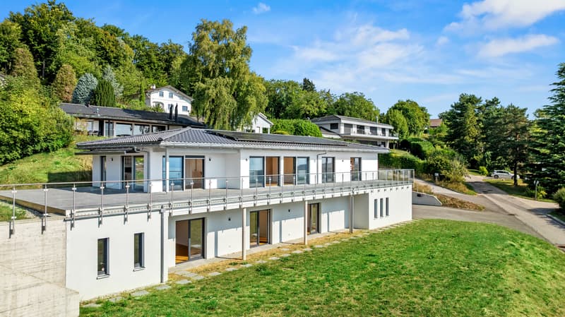 Villa contemporaine clé en main, avec vue 180 - Arzier-le-Muids (1)