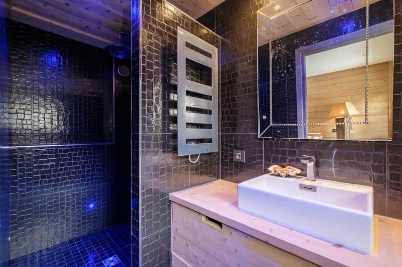 Charmant appartement en rez de jardin à Demi Quartier (13)