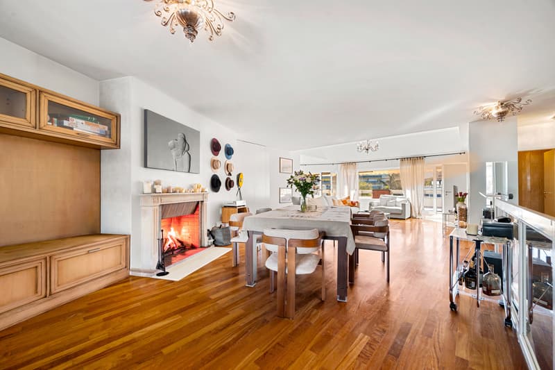 Bel attique en duplex au coeur de Champel (2)