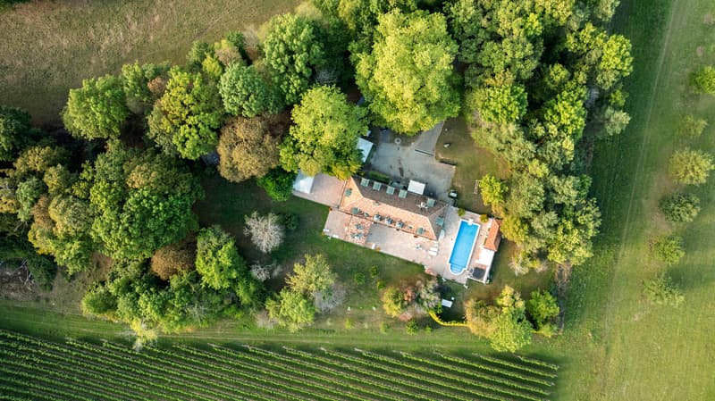 Villa de charme au coeur de la campagne genevoise, Rive gauche (5)