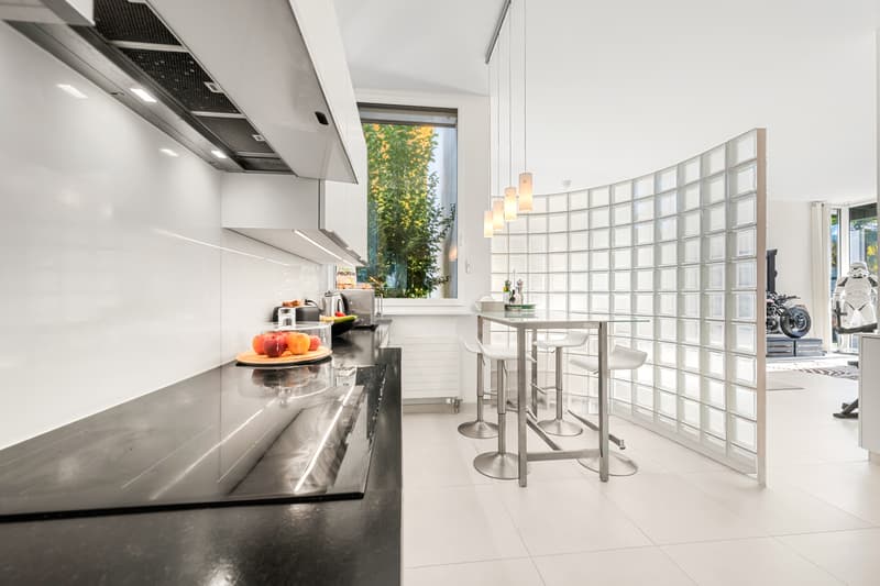 Maison d'architecte dans la campagne genevoise, Rive gauche, Genève (11)