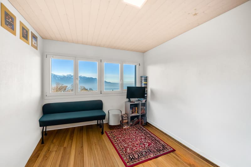 Blonay - Vivre en famille avec une vue sur le lac et les Alpes (10)