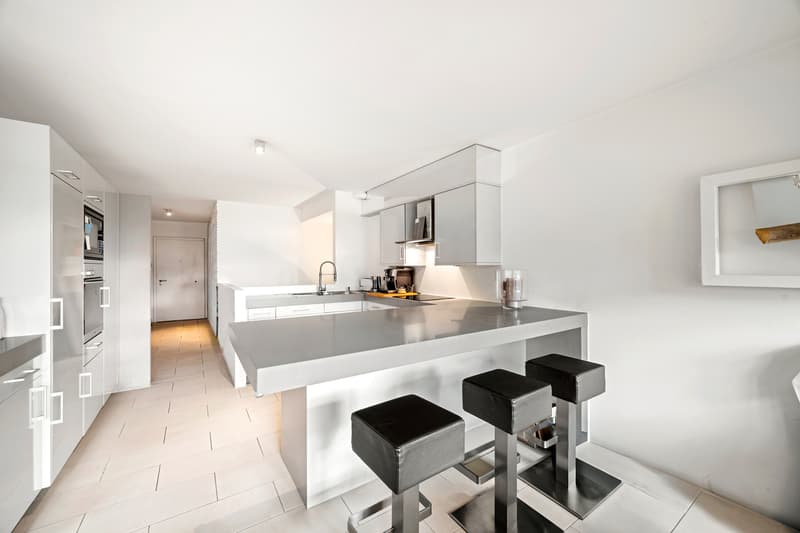 Bel appartement clé en main avec terrasse et jardin au coeur de Pully (3)