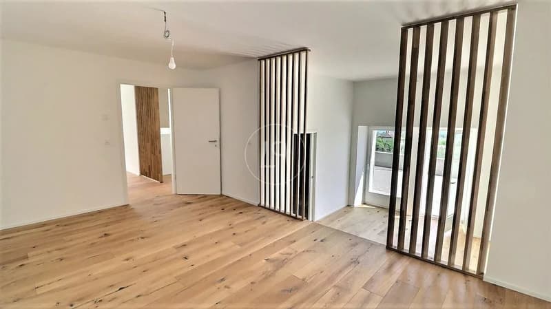 Appartamento duplex ristrutturato con vista lago vicino a Rolle (8)