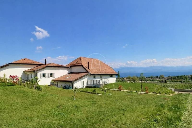 Appartamento duplex ristrutturato con vista lago vicino a Rolle (12)