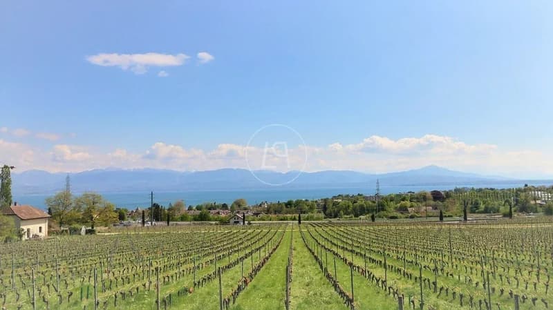 Appartamento duplex ristrutturato con vista lago vicino a Rolle (11)