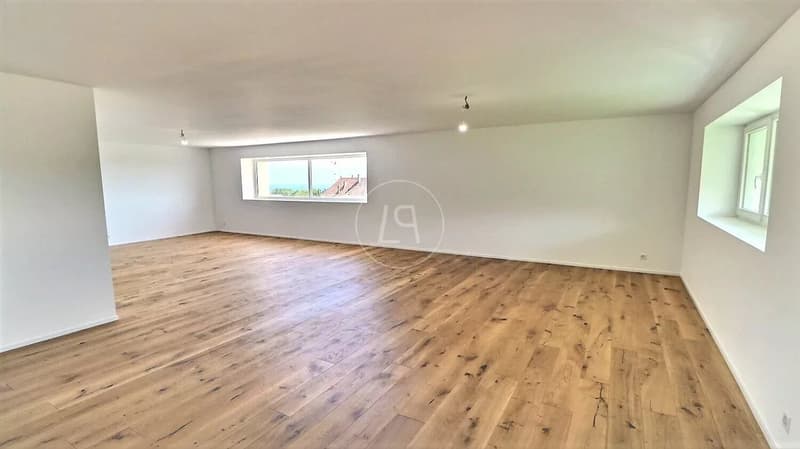 Appartamento duplex ristrutturato con vista lago vicino a Rolle (4)