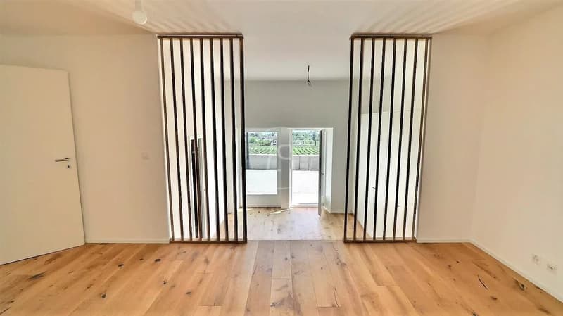 Appartamento duplex ristrutturato con vista lago vicino a Rolle (7)