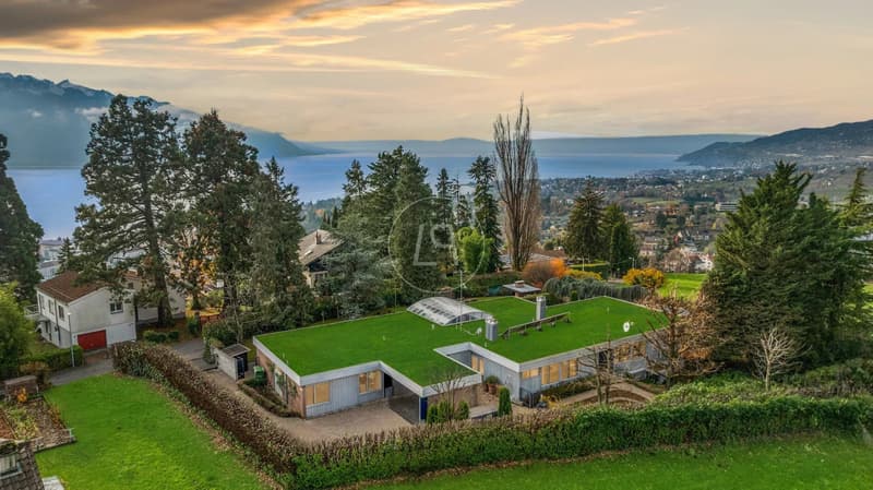 Villa a un piano superba con appartamento indipendente - Chernex (2)
