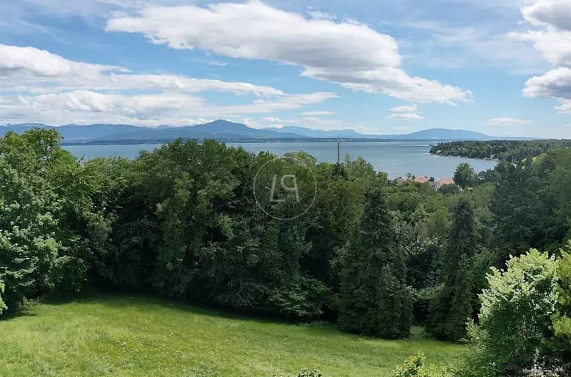 Proprietà con vista a Dully, ottimo potenziale di costruzione (2)