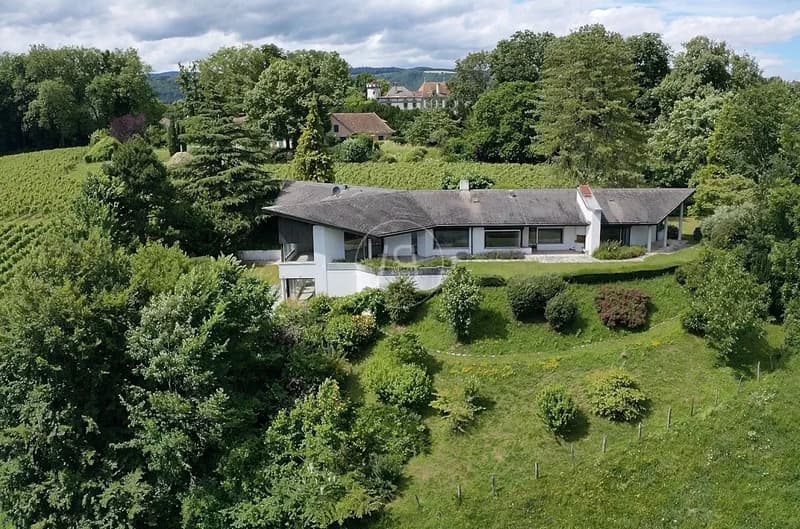 Proprietà con vista a Dully, ottimo potenziale di costruzione (1)