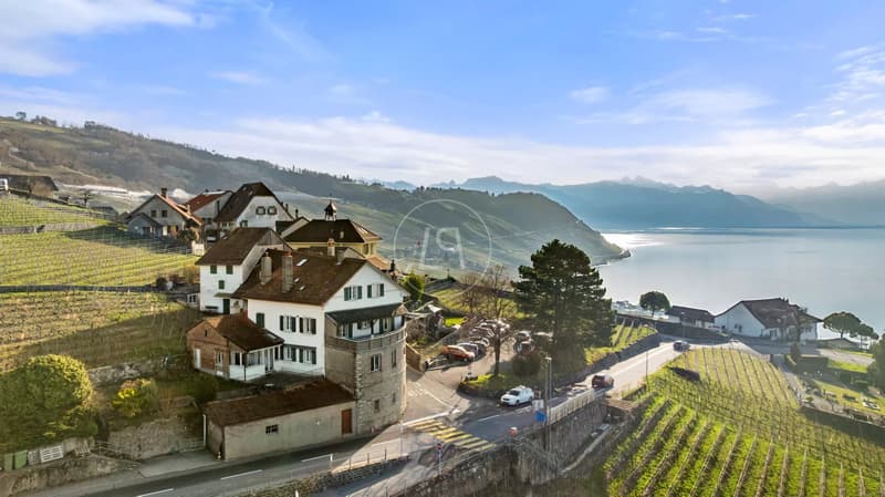 Edificio eccezionale con 3 appartamenti e vista panoramica, Lavaux (3)