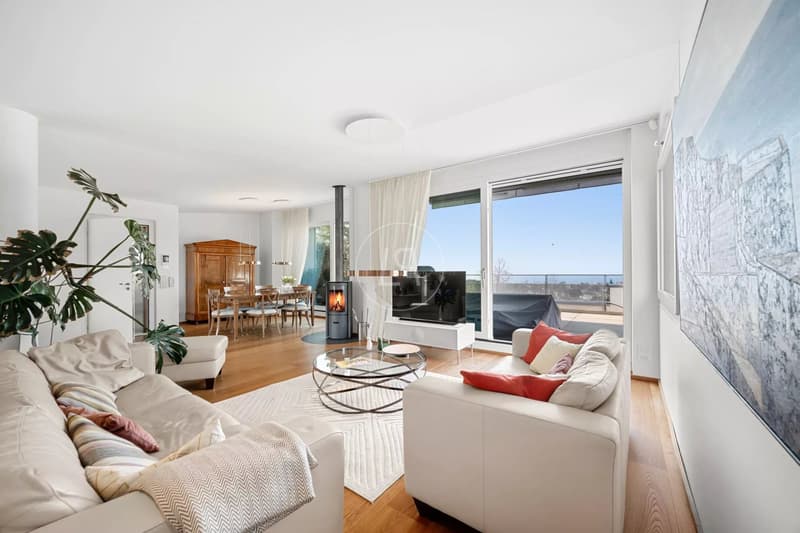 Magnifico duplex moderno e penthouse con vista sul lago a Losanna (2)