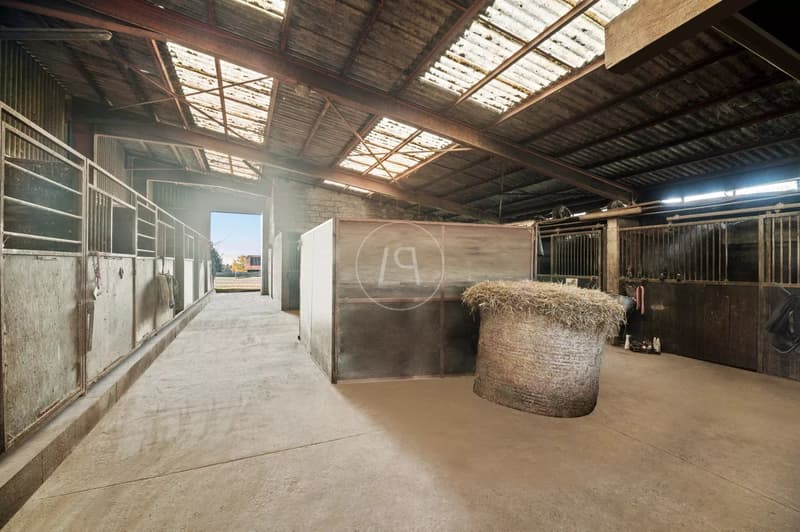 Rara proprietà equestre con grande potenziale vicino a Losanna (12)