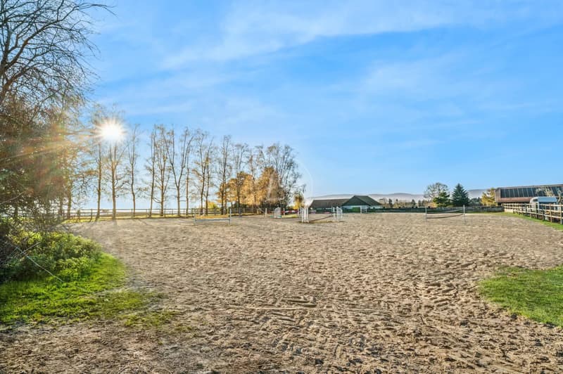 Rara proprietà equestre con grande potenziale vicino a Losanna (13)