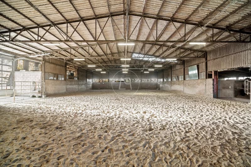 Rara proprietà equestre con grande potenziale vicino a Losanna (11)