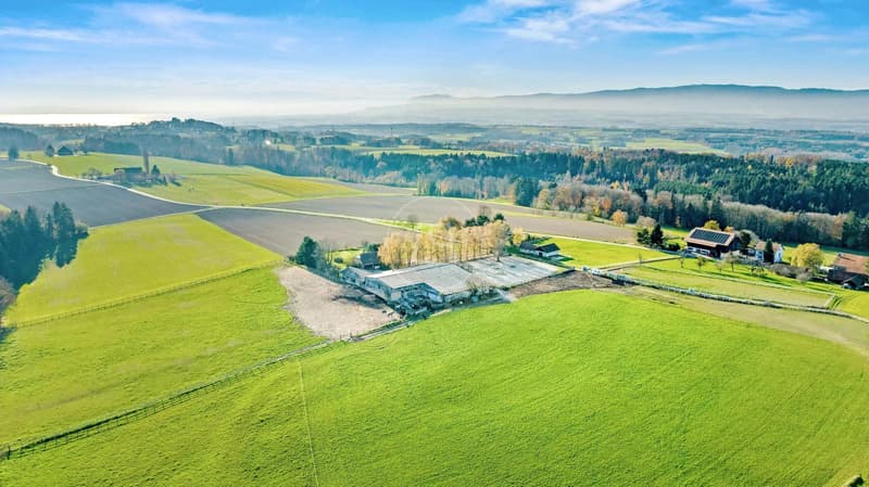 Rara proprietà equestre con grande potenziale vicino a Losanna (2)