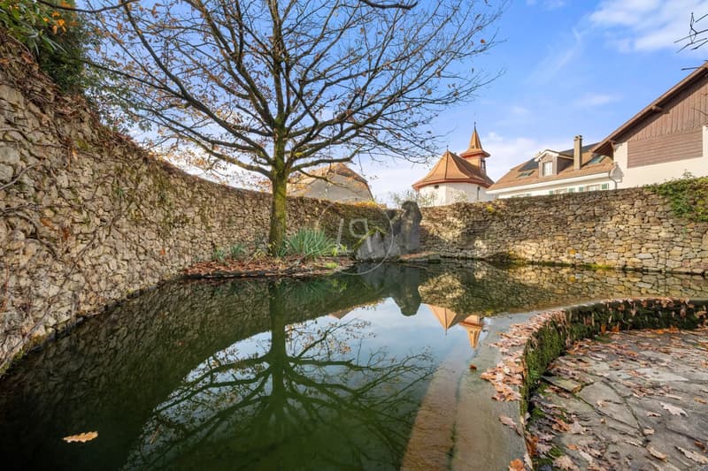 Charming property with natural pool close to Lausanne (4)