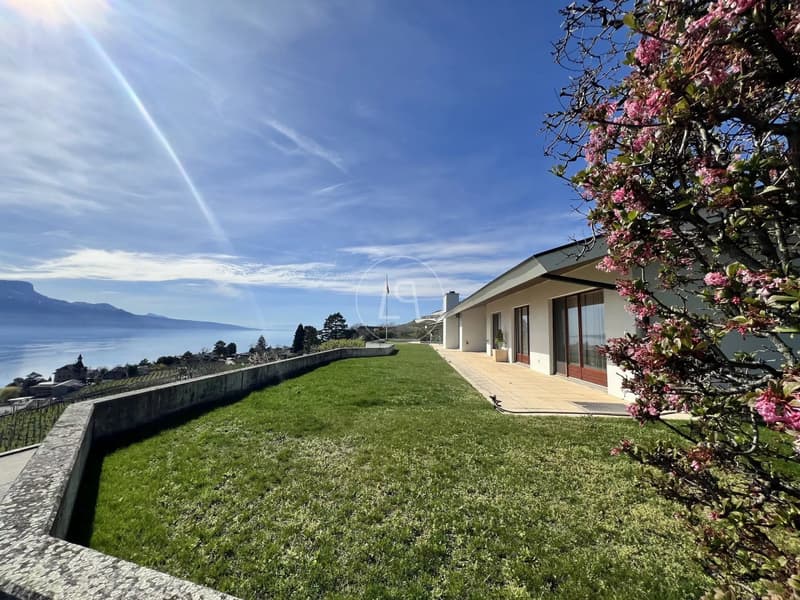 Villa in the heart of the vineyards, spectacular view ? Corseaux (1)