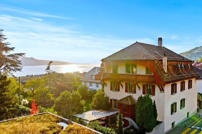 Bella casa del vignaiolo ristrutturata nel cuore di St-Légier (5)