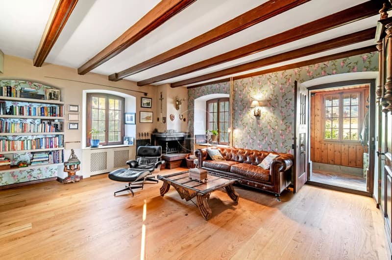 Bella casa del vignaiolo ristrutturata nel cuore di St-Légier (10)