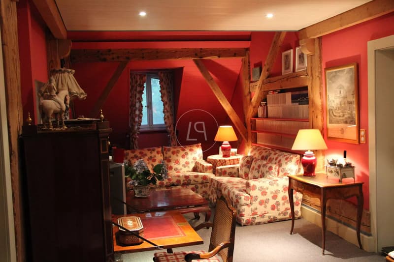 Stunning property nestled in a park with a pool near Morges (6)