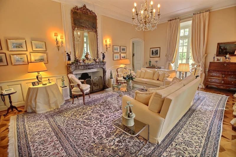 Stunning property nestled in a park with a pool near Morges (3)